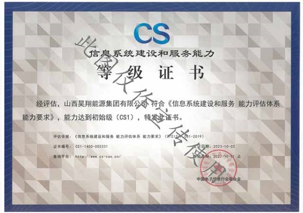 信息系统建设和服务能力